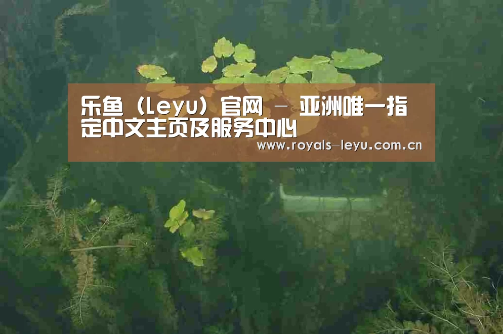案例展示三