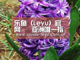 产品名称八
