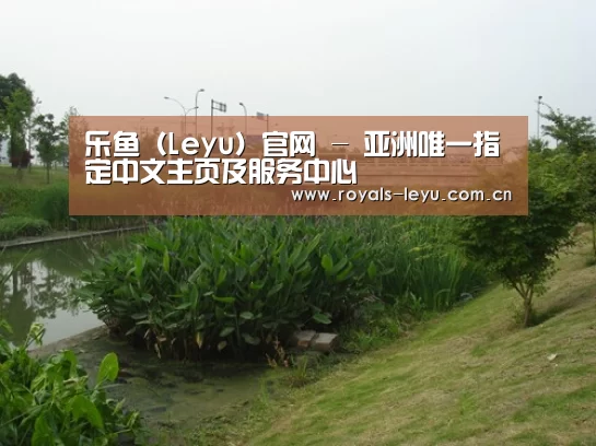 案例展示四