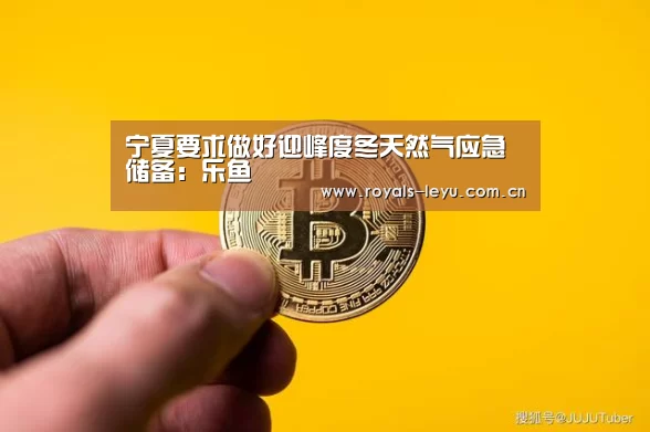 宁夏要求做好迎峰度冬天然气应急储备:乐鱼(图1) 乐鱼