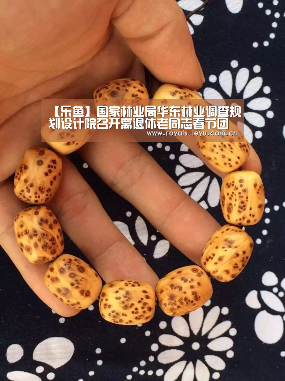 乐鱼